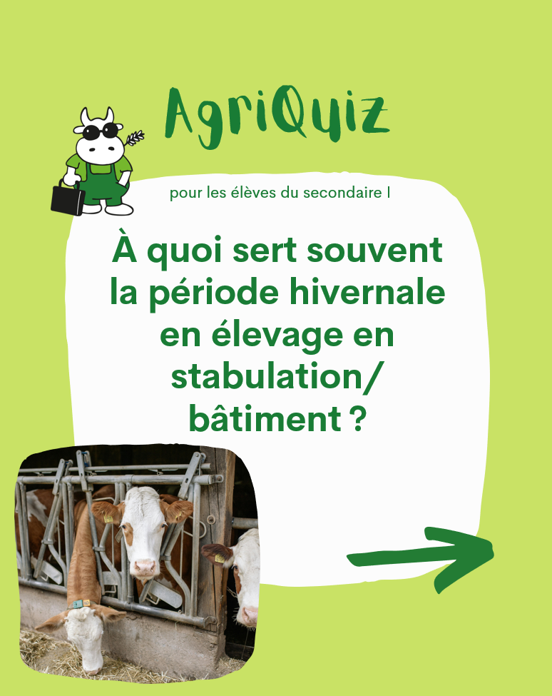 Alt Text